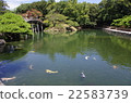A garden 22583739