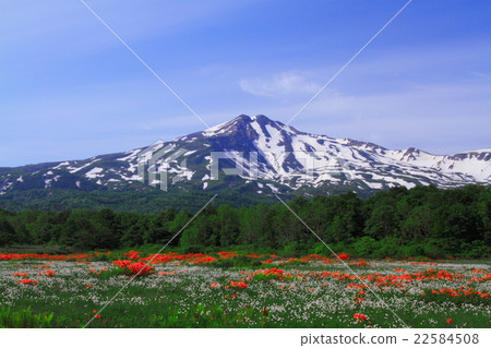 Kuwano樹沼澤和Chokaiyama 22584508