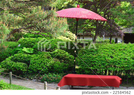 Nodame Umbrella和猩紅色的溝槽搖籃 22584562