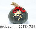 Letter of longevity in pumpkin 22584789