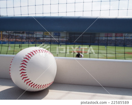 Baseball Ball Baseball Ball 22585589