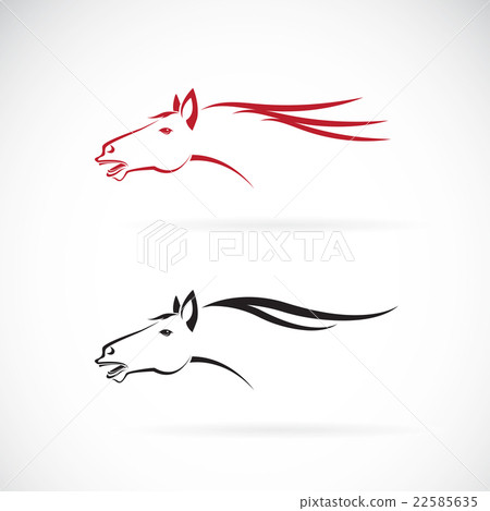 Vector images of horse head design 22585635