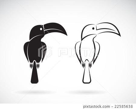 Vector image of an toucan bird design  22585638