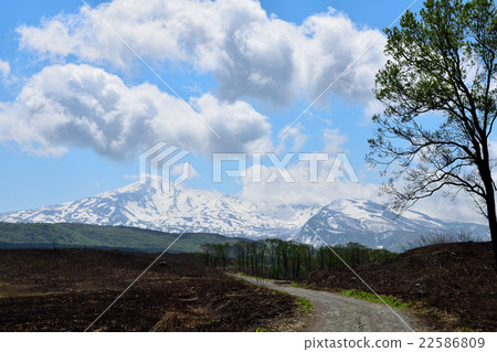 冬季沼澤和燒出後的Chokai山 22586809