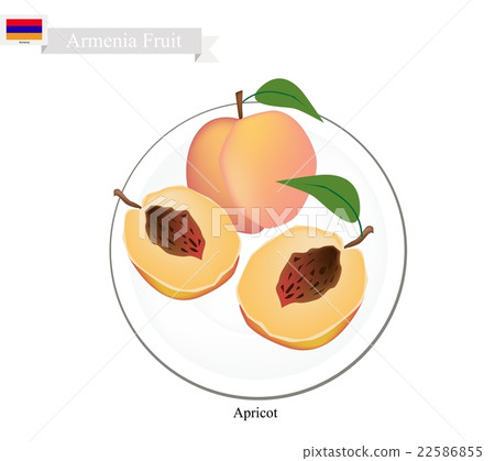 Fresh Apricot, A Popular Fruit in Armenia Fresh Apricot, A Popular Fruit in Armenia 22586855
