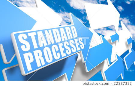 Standard Processes 22587352