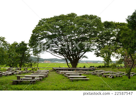 Stage Stage 22587547