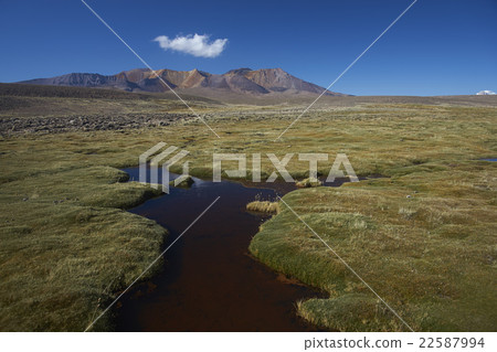 Lauca National Park 22587994