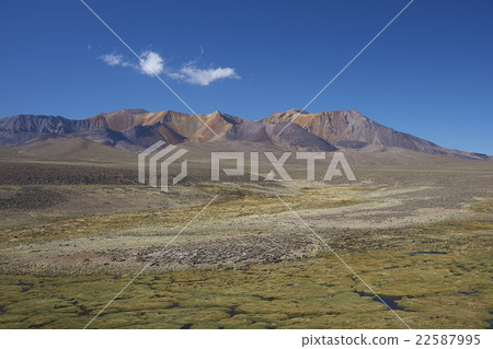 Lauca National Park 22587995