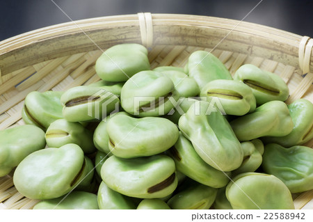 Freshly boiled bean 2 Freshly boiled bean 2 22588942