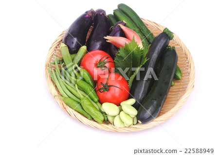 夏季蔬菜 夏季蔬菜 22588949