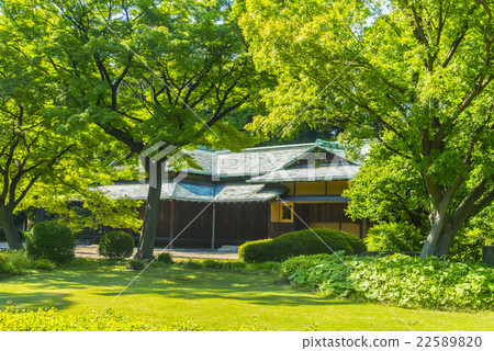 Su訪沒有yuya 22589820