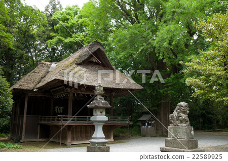 Kagura of Tamaki Shrine 22589925