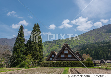 Gifu Spring of Shirakawago Gifu Spring of Shirakawago 22590522
