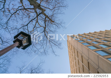 Tree branch with office building Tree branch with office building 22592053