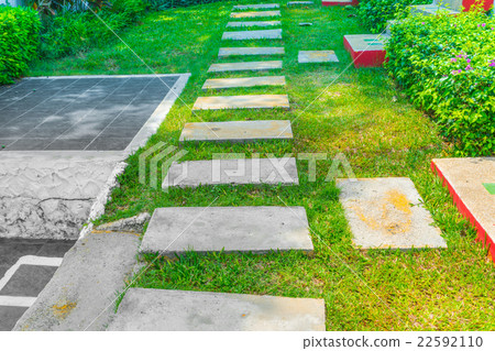 The Walk path in the park with green grass 22592110