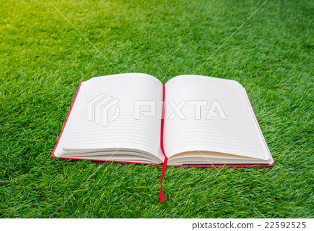 Notebook on spring green grass 22592525