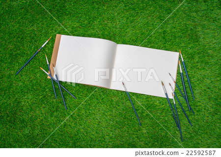 Paintbrushes with book on green grass Paintbrushes with book on green grass 22592587