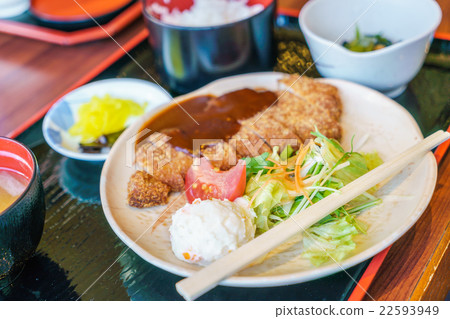 Japanese food style Teriyaki Chicken with rice Japanese food style Teriyaki Chicken with rice 22593949