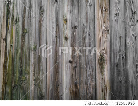 Wood texture background Wood texture background 22593989