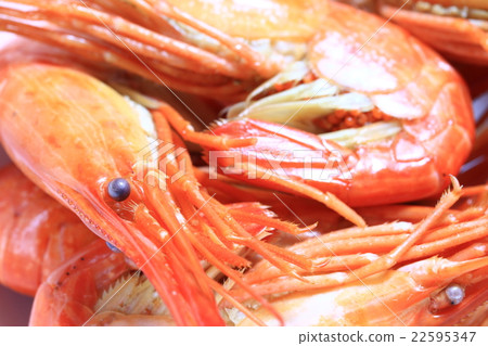 Boiled boiled shrimp ♪ Boiled boiled shrimp ♪ 22595347