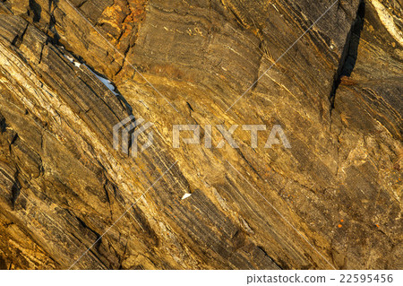 Texture of the stone cliffs. Texture of the stone cliffs. 22595456