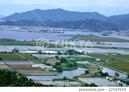 A bird's eye view of paddy field of rice planting time of Omi basin 22597659