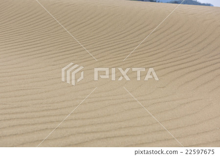 鳥取沙丘(鳥取縣鳥取市)的風模式 鳥取沙丘(鳥取縣鳥取市)的風模式 22597675