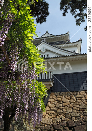 Okazaki Castle 22598964