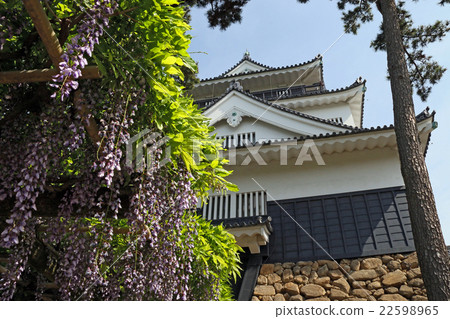 Okazaki Castle 22598965