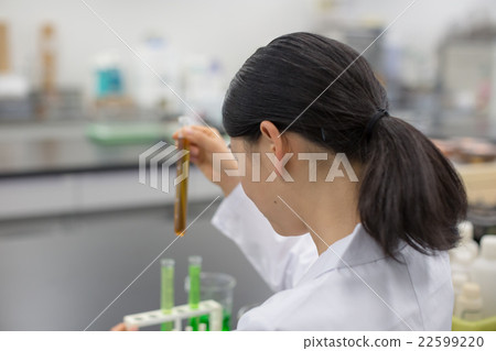 研究 調查 學習 22599220