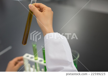 研究 調查 學習 22599223