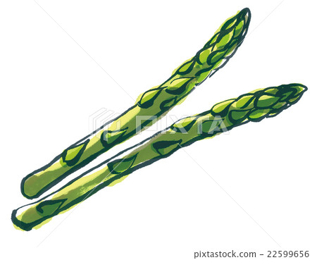 Asparagus 22599656