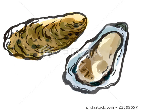Oyster 22599657