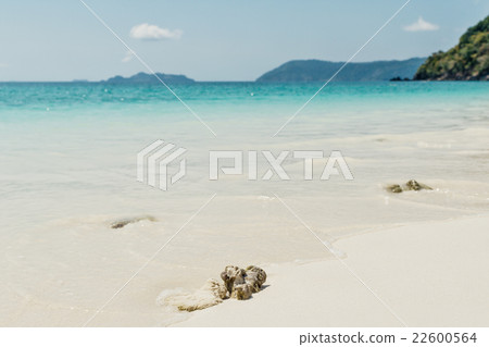 sea beach blue sky sand sun daylight sea beach blue sky sand sun daylight 22600564