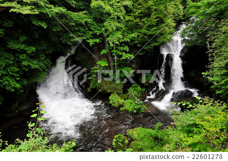 Ryuzo Waterfall (Ryuzu Waterfall) Fresh green 22601278