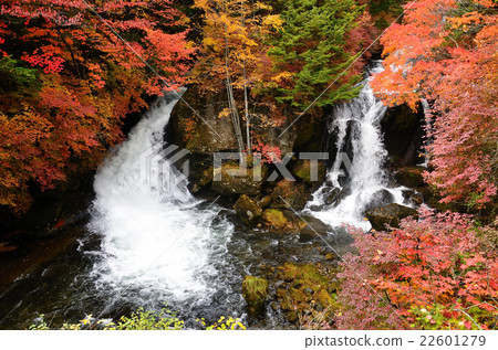 Ryuzu Waterfall (autumn leaves) 22601279