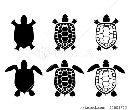 Set of turtle and tortoise icons,top view Set of turtle and tortoise icons,top view 22601713
