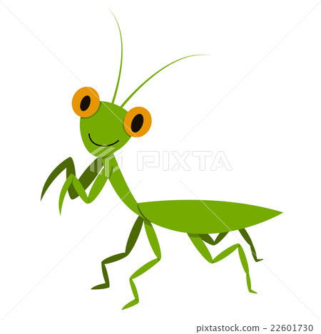 Mantis, Mantodea grasshopper in flat style, vector 22601730