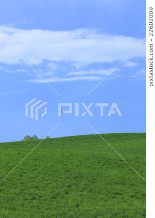 Furano city Hokkaido grassland and clouds 22602009