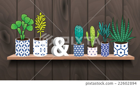 Succulents and cactus plants in pots. 22602894