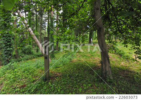 Suemori Castle Ruins 22603073