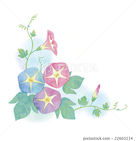 Illustration of Asagao 22603214