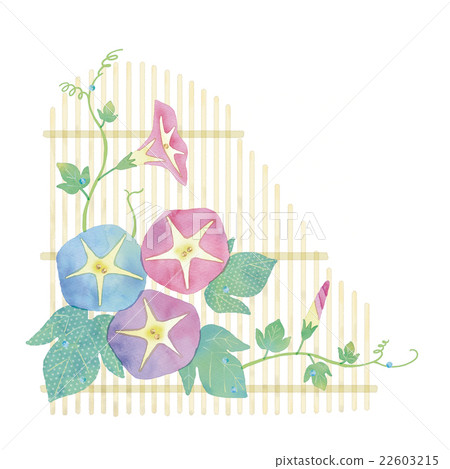 Illustration of Asagao 22603215