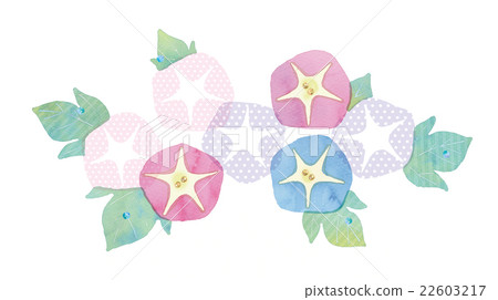 Illustration of Asagao 22603217