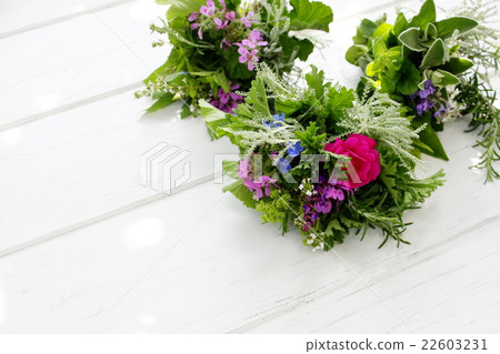 Tudge Mudgee on the garden table 22603231