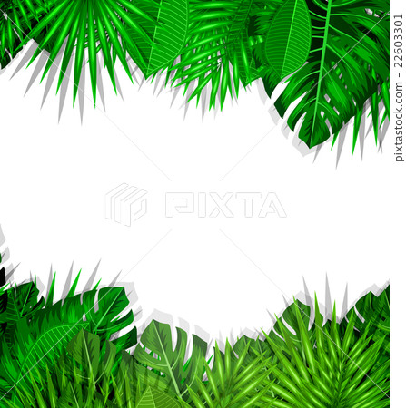 Frame Tropical Leaves Summer Background 22603301