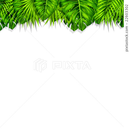 Frame Tropical Leaves Summer Background 22603302
