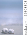 Beach 22603505