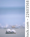 Beach 22603568